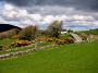 stirlingsun0406t.jpg