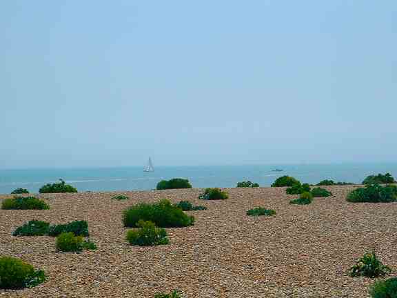 dungeness3.jpg