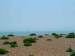 dungeness3t.jpg