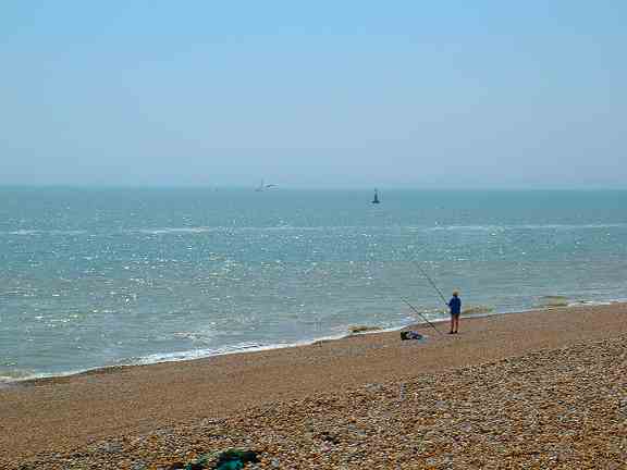 dungeness8.jpg