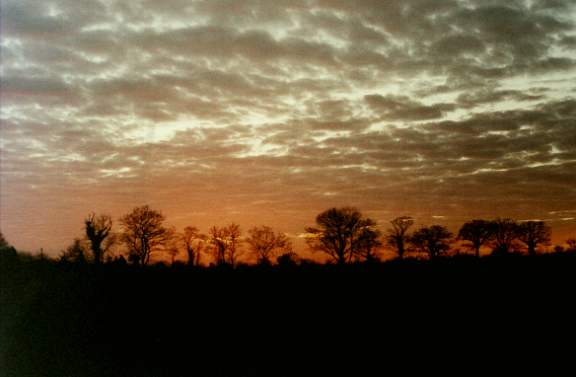 sunset7.jpg