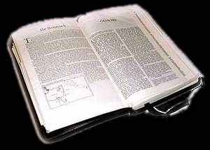 bible2