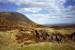 glencoe4