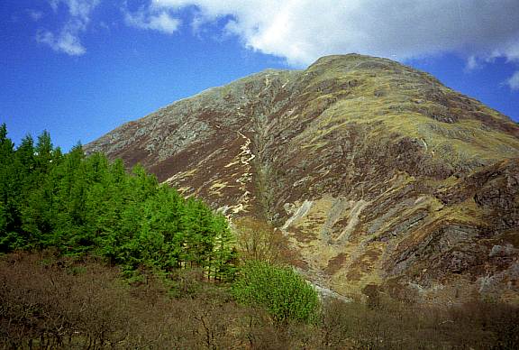 glencoe9
