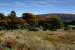 Moorland3t