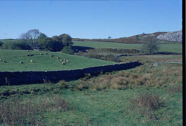 moorland2