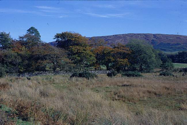 moorland3
