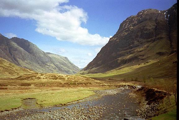 glencoe7