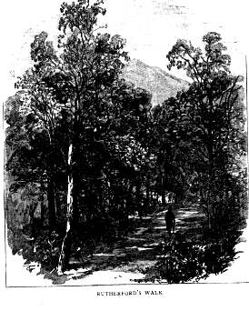 Rutherford's Walk, near Anwoth.