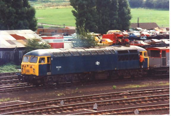 56020tot