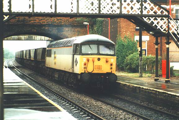 56023cul