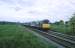 nwales31