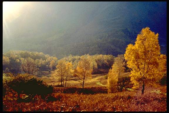 borrowdale