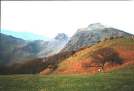 Abertrinant