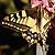 great nature gif