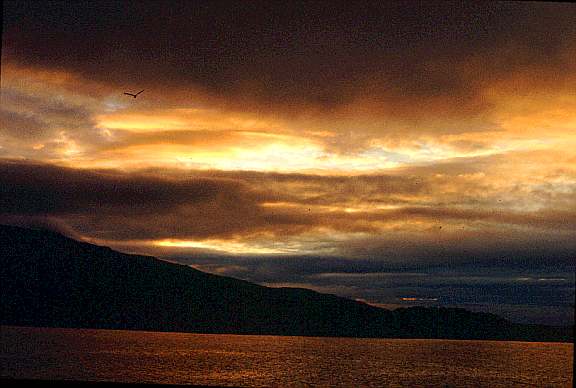 oban1