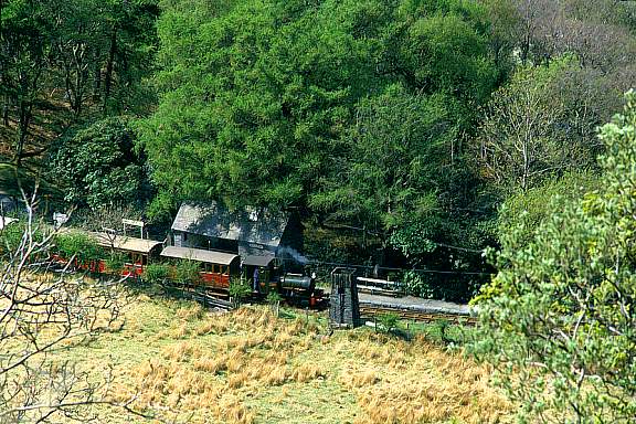 fs10Dolgoch Station