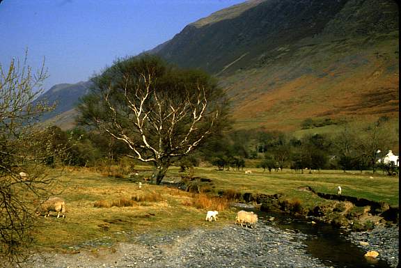 abovabervill3