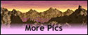 morepic7